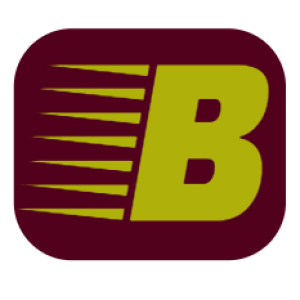 BulkSMSing.com's Customer